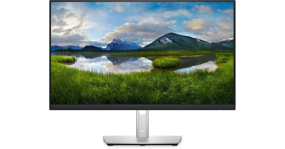Монитор Dell P2422H 24" Dell P2422H